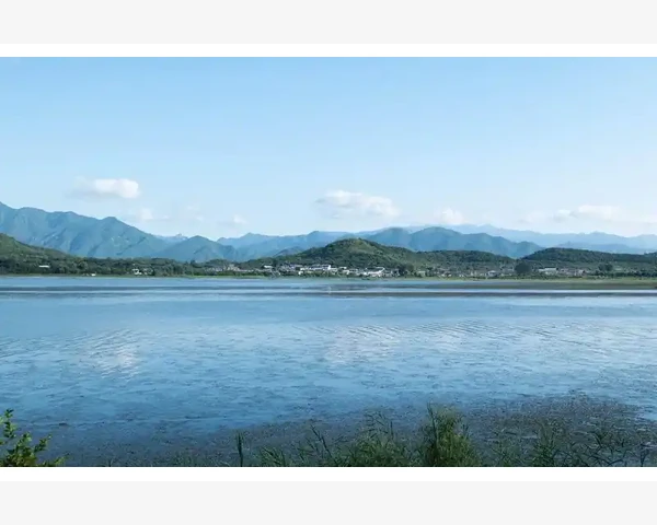 脾胃不好湿气重？来一杯养脾胃的茶吧！