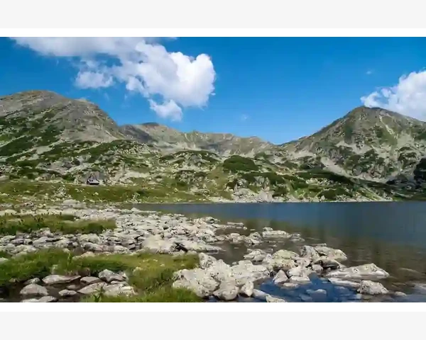 夏季祛湿化痰，轻松告别湿热困扰